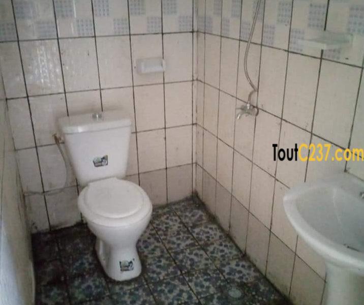 Appartement neuf à louer à Deido Douala