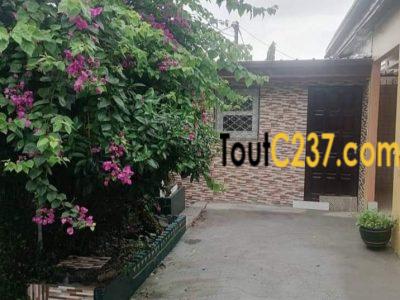 Villa à louer à Bonamoussadi Douala