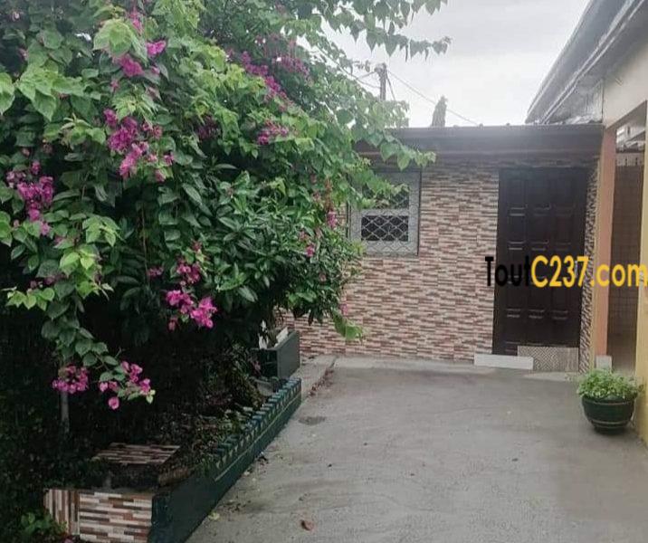 Villa à louer à Bonamoussadi Douala