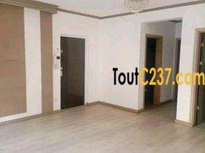 Appartement Vip à louer à Bonapriso Douala