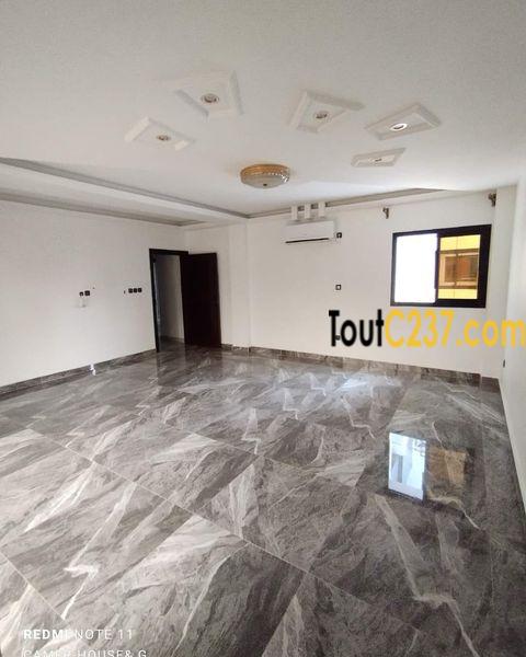 Appartement neuf à louer à Bali Douala