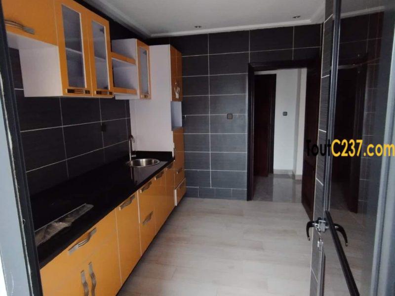 Appartement neuf à louer à Bali Douala