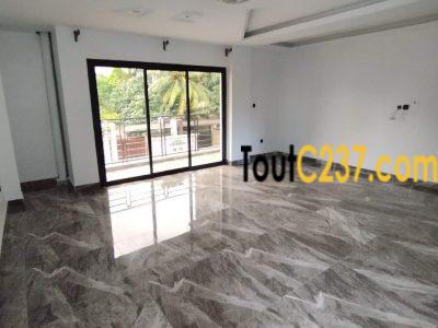 Appartement neuf à louer à Bali Douala