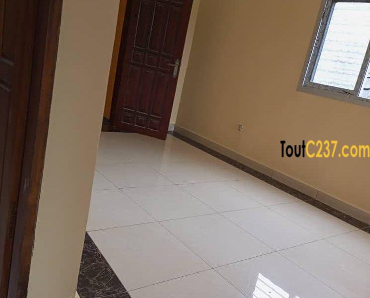 Appartement neuf à louer à Logpom Douala