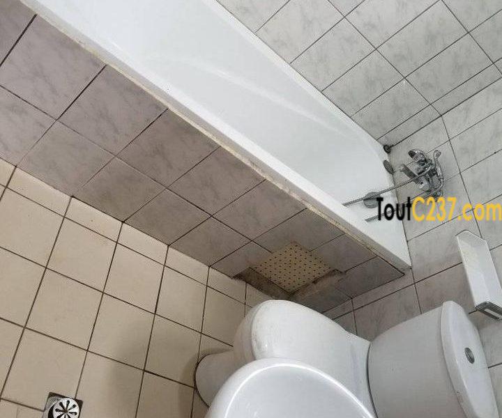 Appartement à louer à Kotto Douala