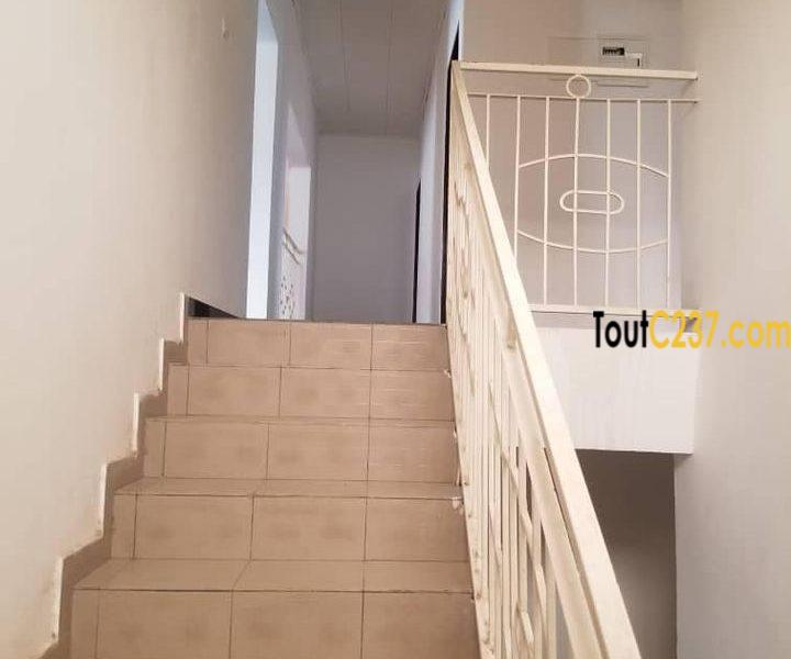 Maison duplex à louer à Kotto Douala