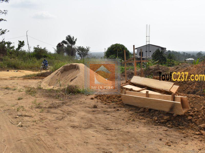 Terrains titrés et lotis à vendre Douala Logbessou