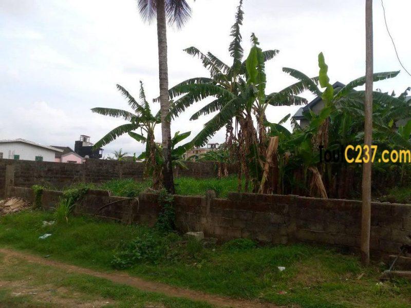 Terrain à vendre à Kotto Maurivana Douala