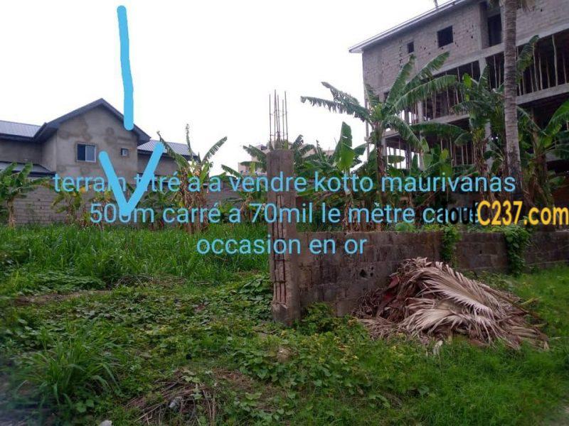 Terrain à vendre à Kotto Maurivana Douala
