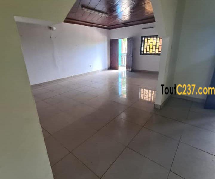 Maison en Villa à louer à Bonamoussadi