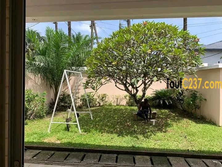 Maison avec piscine à louer à Bonapriso
