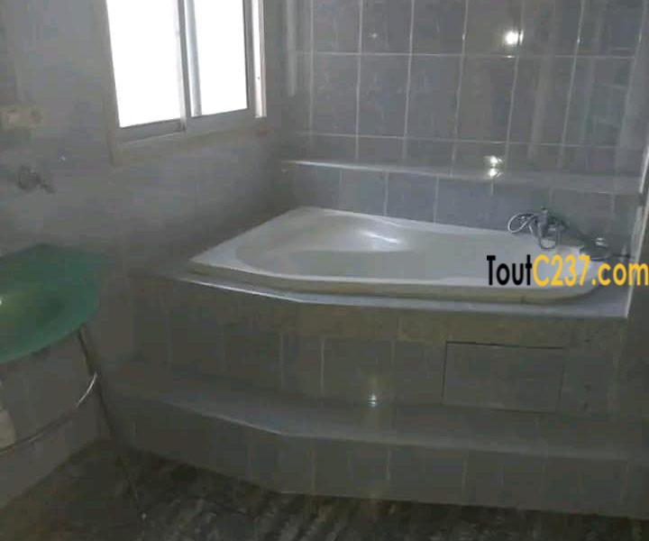 Maison avec piscine à louer à Bonapriso
