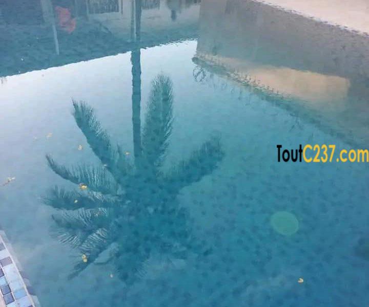 Maison avec piscine à louer à Bonapriso