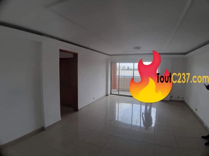 Appartement à louer à Bonapriso