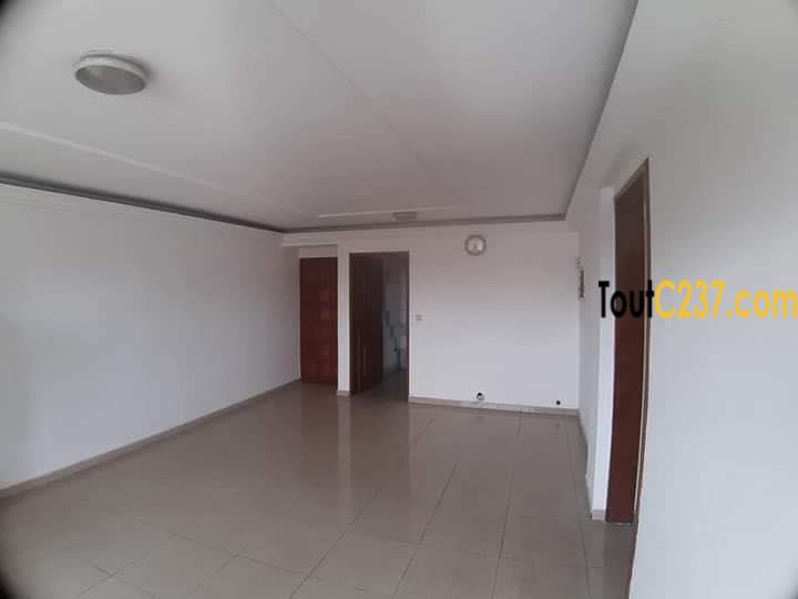 Appartement à louer à Bonapriso
