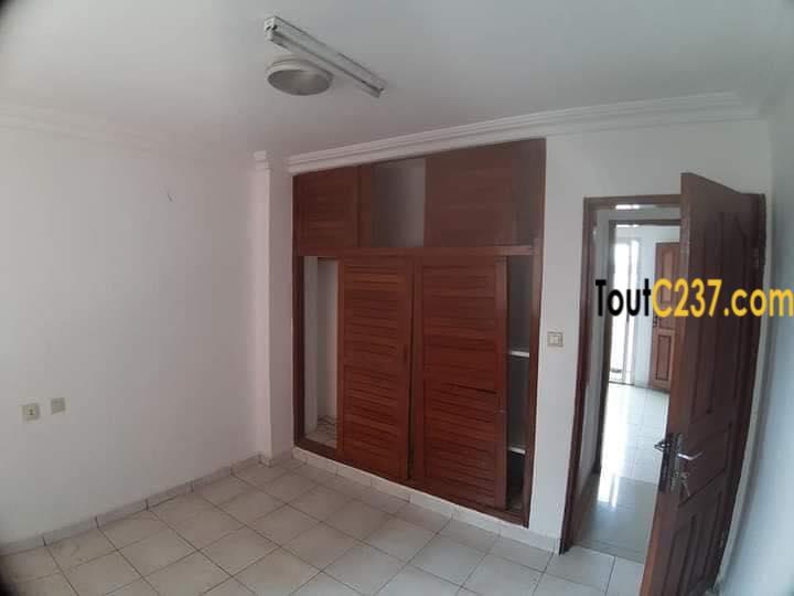 Appartement à louer à Bonapriso