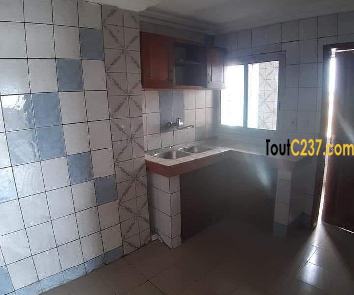 Appartement à louer à Bonapriso