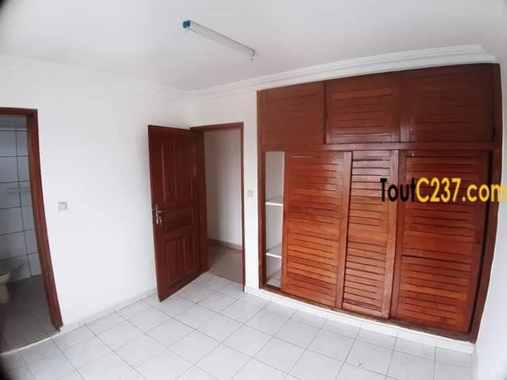 Appartement à louer à Bonapriso