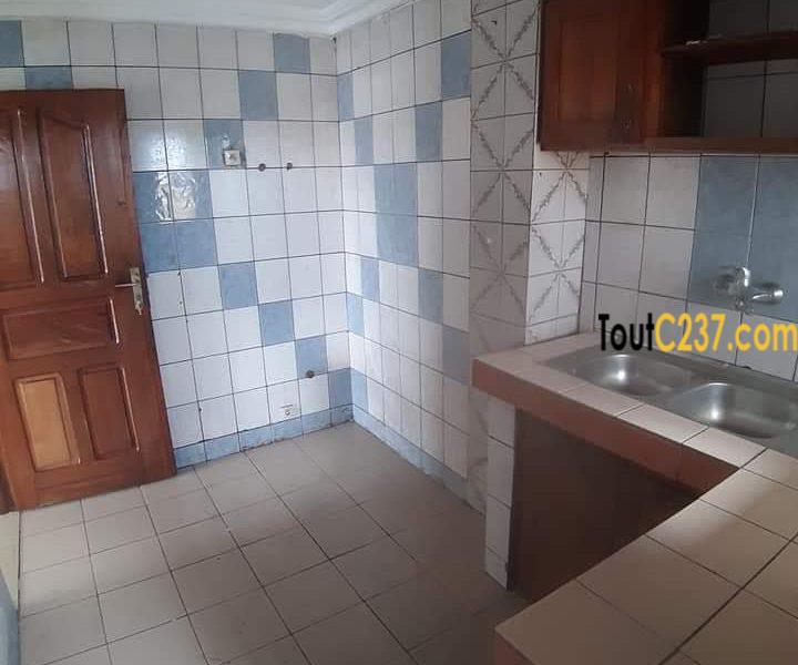 Appartement à louer à Bonapriso