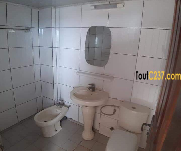 Appartement à louer à Bonapriso