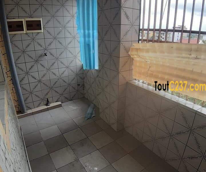 Appartement à louer à Bonapriso