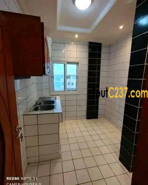 Appartement neuf à louer à Bonapriso Douala