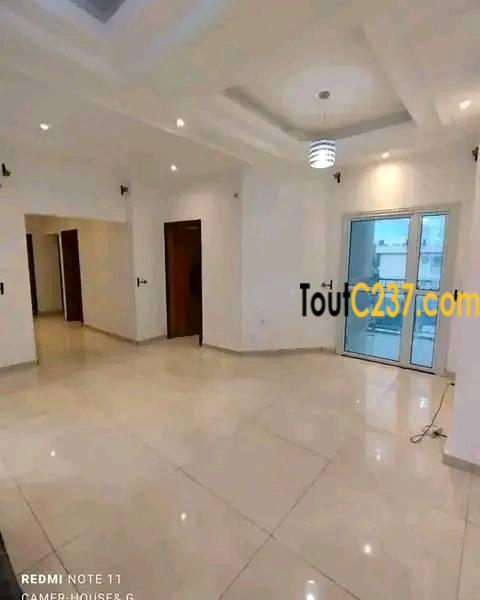 Appartement neuf à louer à Bonapriso Douala