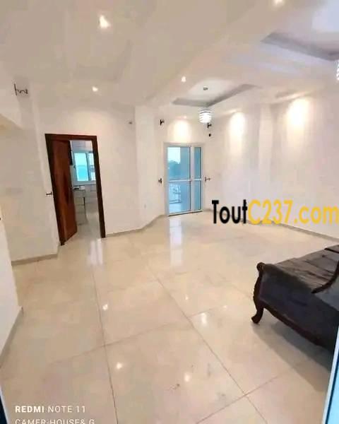 Appartement neuf à louer à Bonapriso Douala