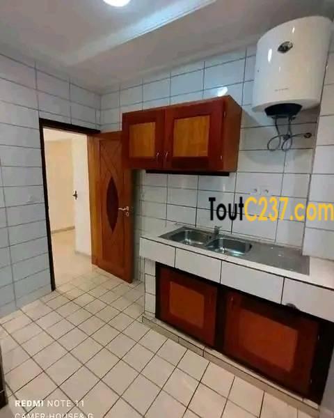 Appartement neuf à louer à Bonapriso Douala
