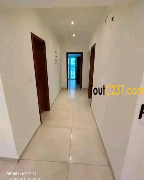 Appartement neuf à louer à Bonapriso Douala