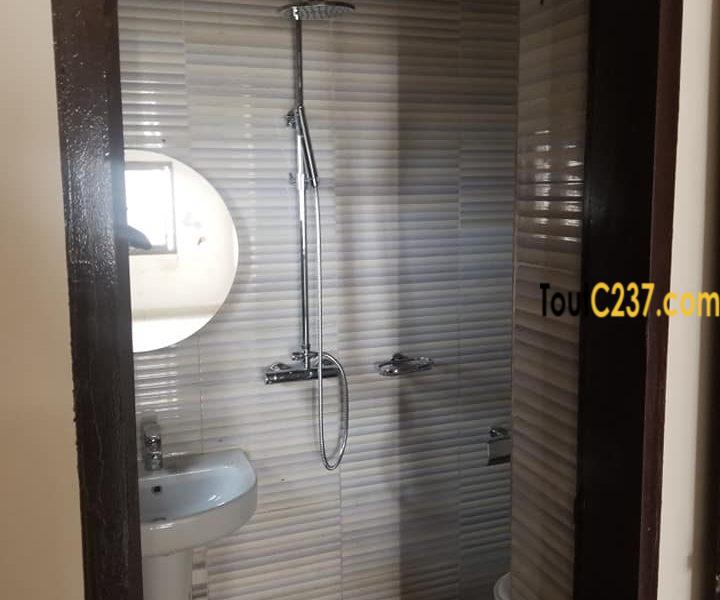 Appartement à louer à Bonamoussadi, Douala