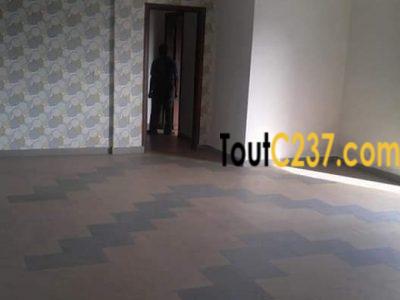 Appartement à louer à Akwa Douala