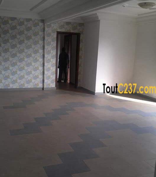 Appartement à louer à Akwa Douala