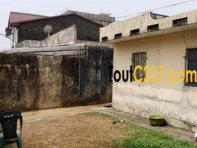 Maison villa à vendre à la cité des palmiers Douala