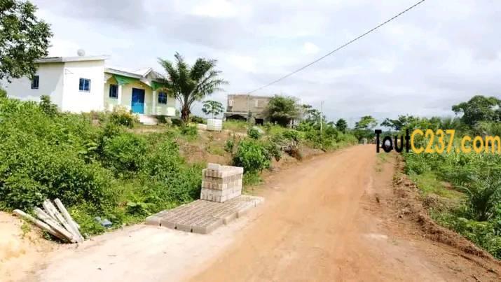 Terrain à vendre à Pk19 Douala