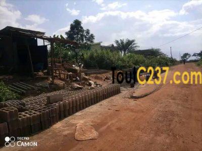 Terrain à vendre à Pk19 Douala