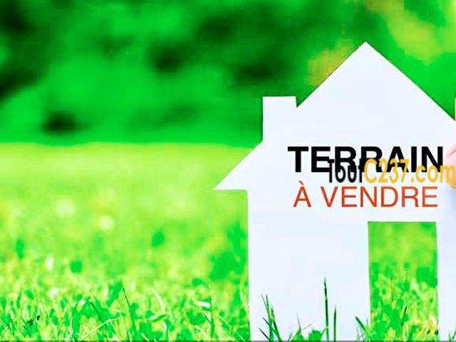 Terrain à vendre à Logpom Andem Douala