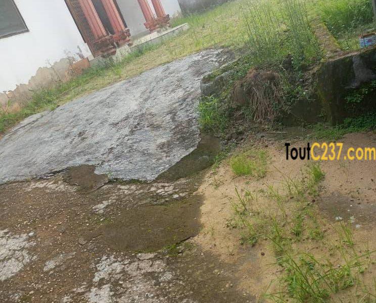 Villa à louer à Makepe Douala