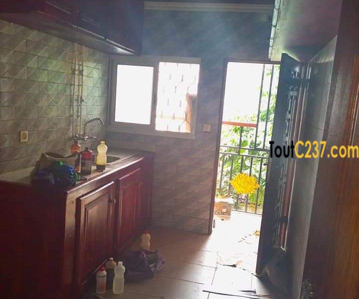 Appartement à louer à Bonapriso Douala