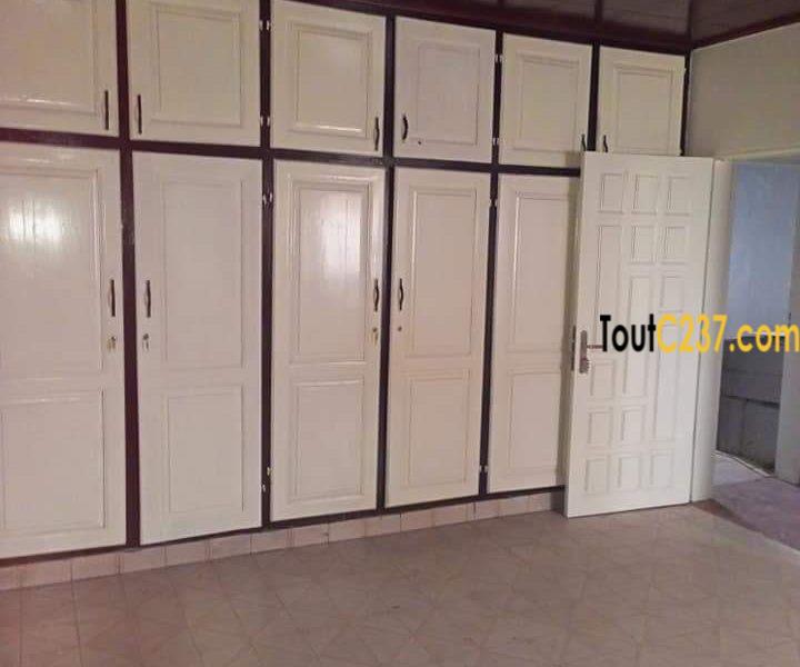 Appartement à louer à Bonapriso Douala