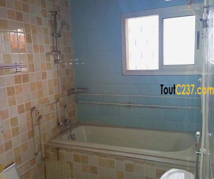 Appartement à louer à Bonapriso Douala