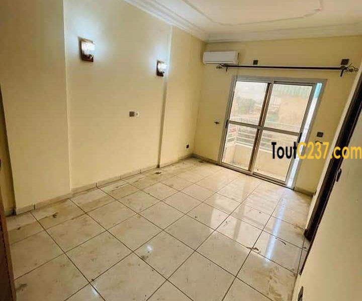 Appartement Neuf à louer Akwa Douala