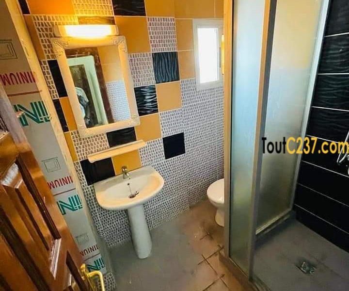 Appartement Neuf à louer Akwa Douala