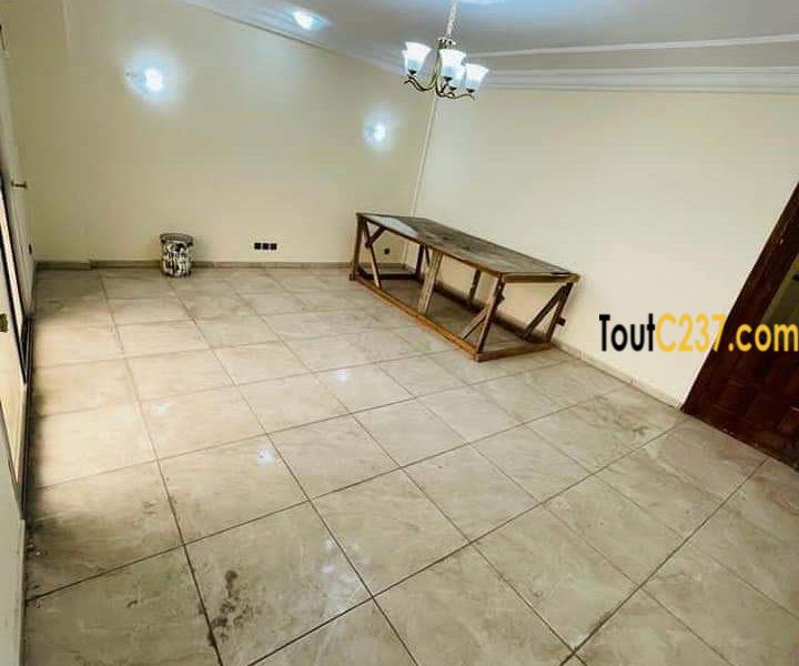 Appartement Neuf à louer Akwa Douala
