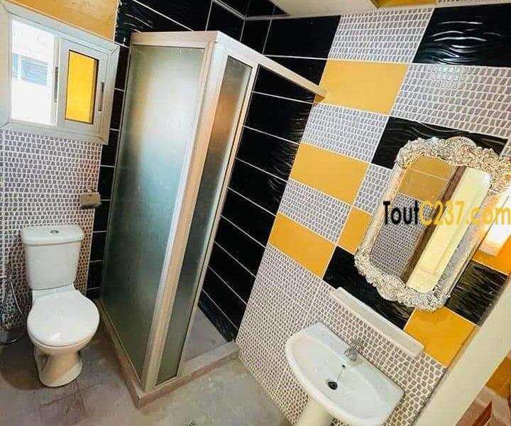 Appartement Neuf à louer Akwa Douala