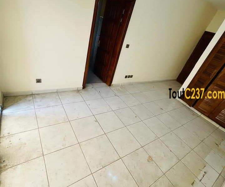 Appartement Neuf à louer Akwa Douala