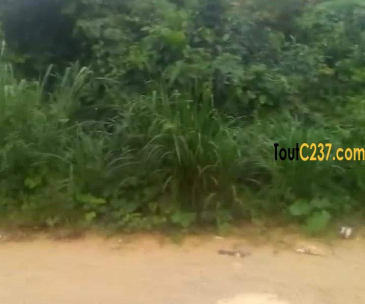Terrain a vendre a Pk21 Douala