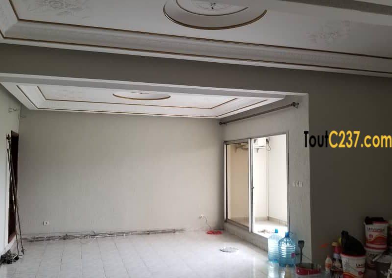 Vaste appartement à louer à Bonamoussadi