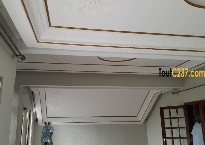 Vaste appartement à louer à Bonamoussadi