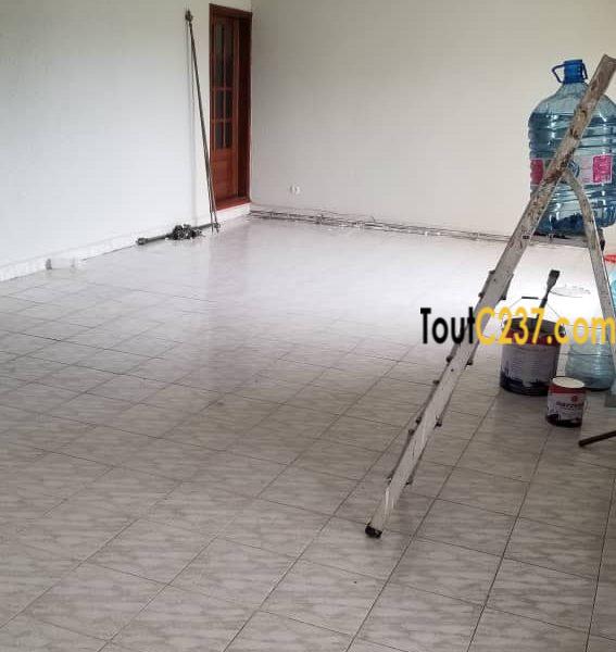 Vaste appartement à louer à Bonamoussadi